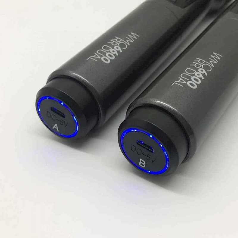 Sonicgear Dual UHF Wireless Microphone - Mainz Empire Pte Ltd